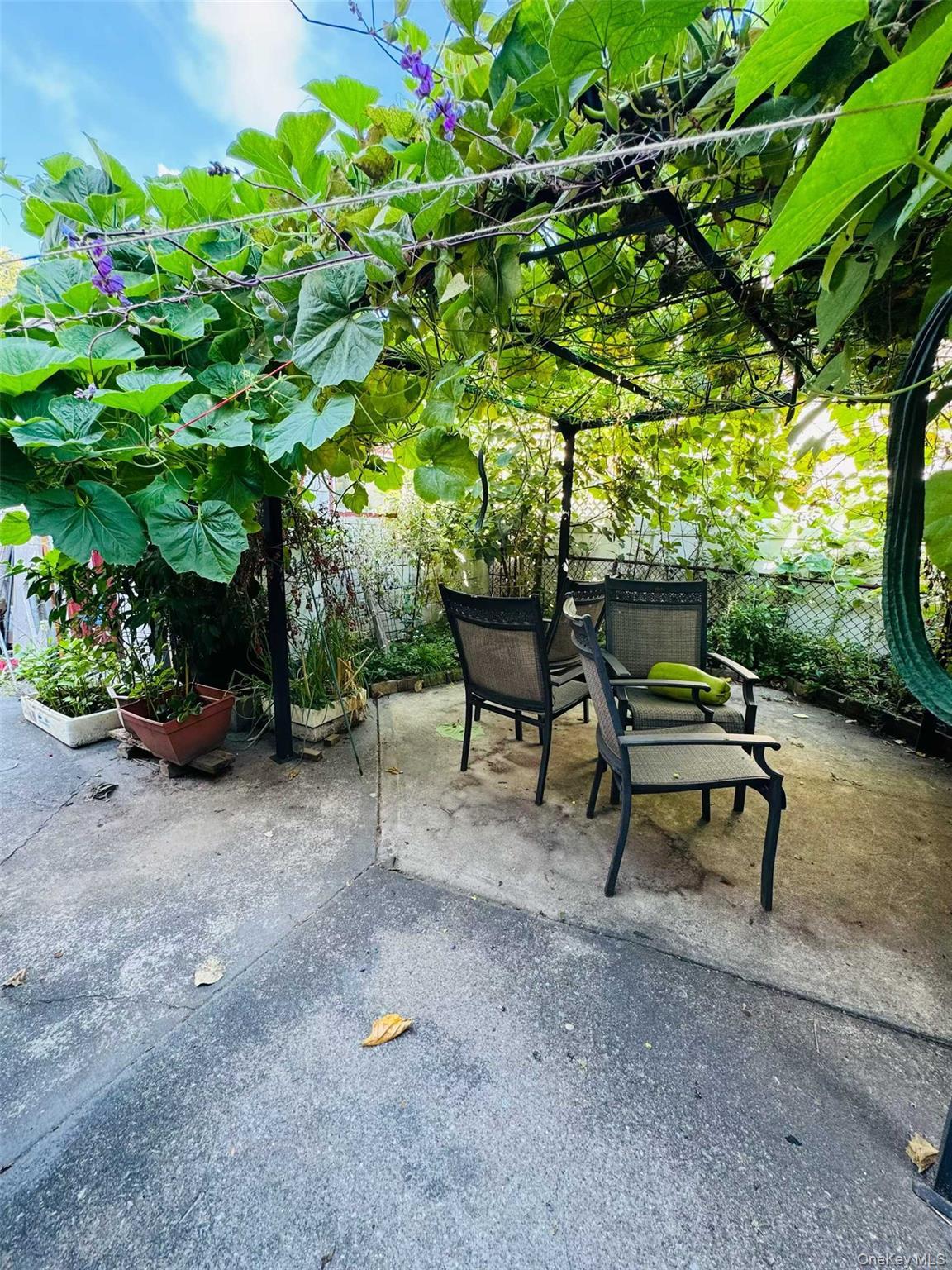 Single Family 133  Queens, NY 11420, MLS-880861-10