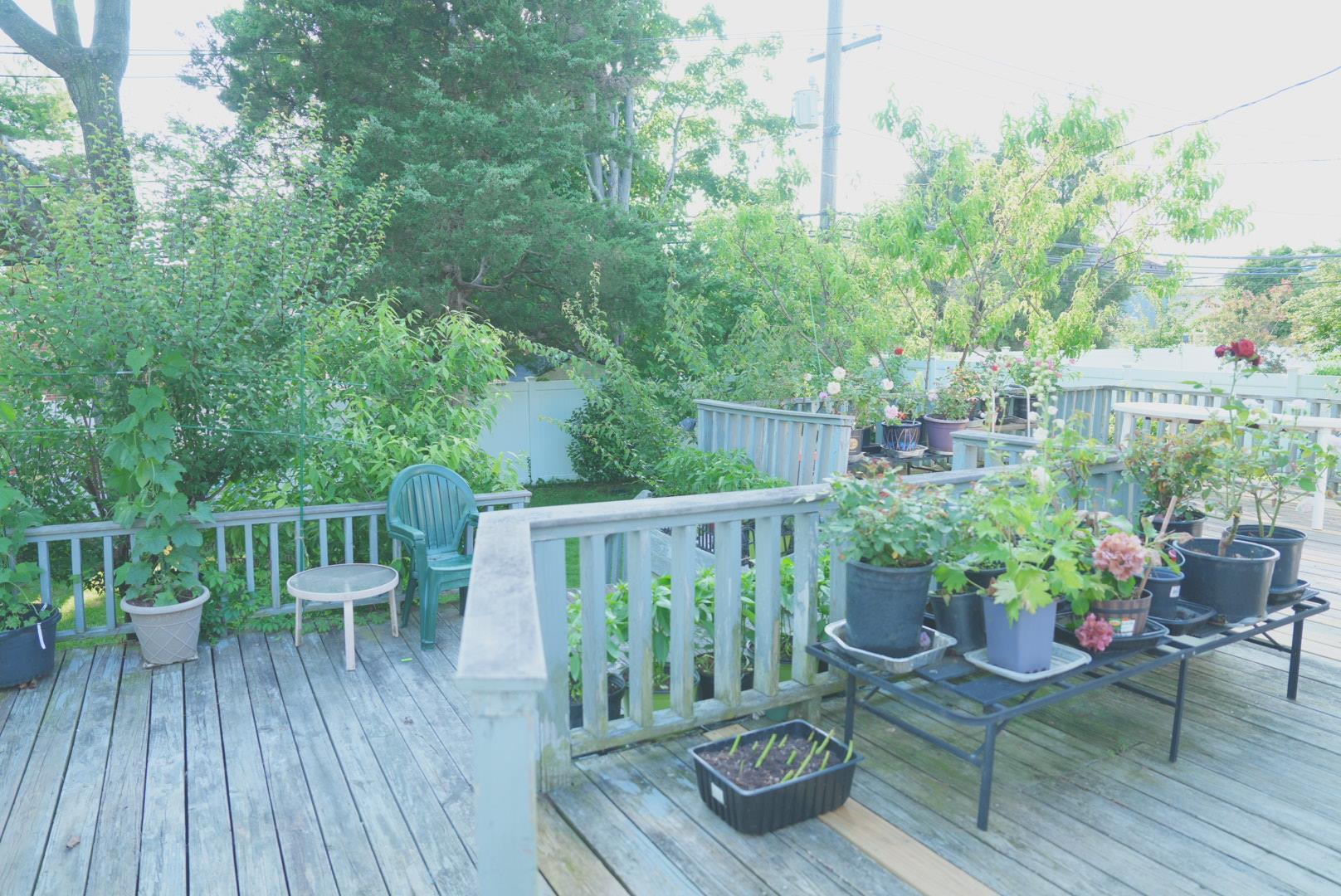 Single Family Clinton Nassau County, NY 11753, MLS-880888-20