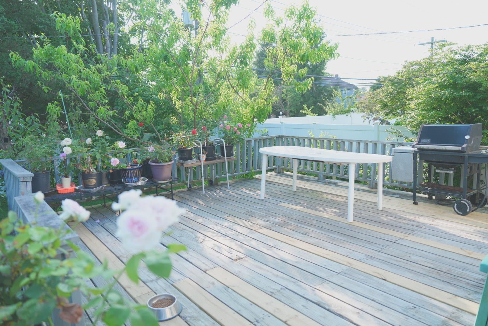 Single Family Clinton Nassau County, NY 11753, MLS-880888-22