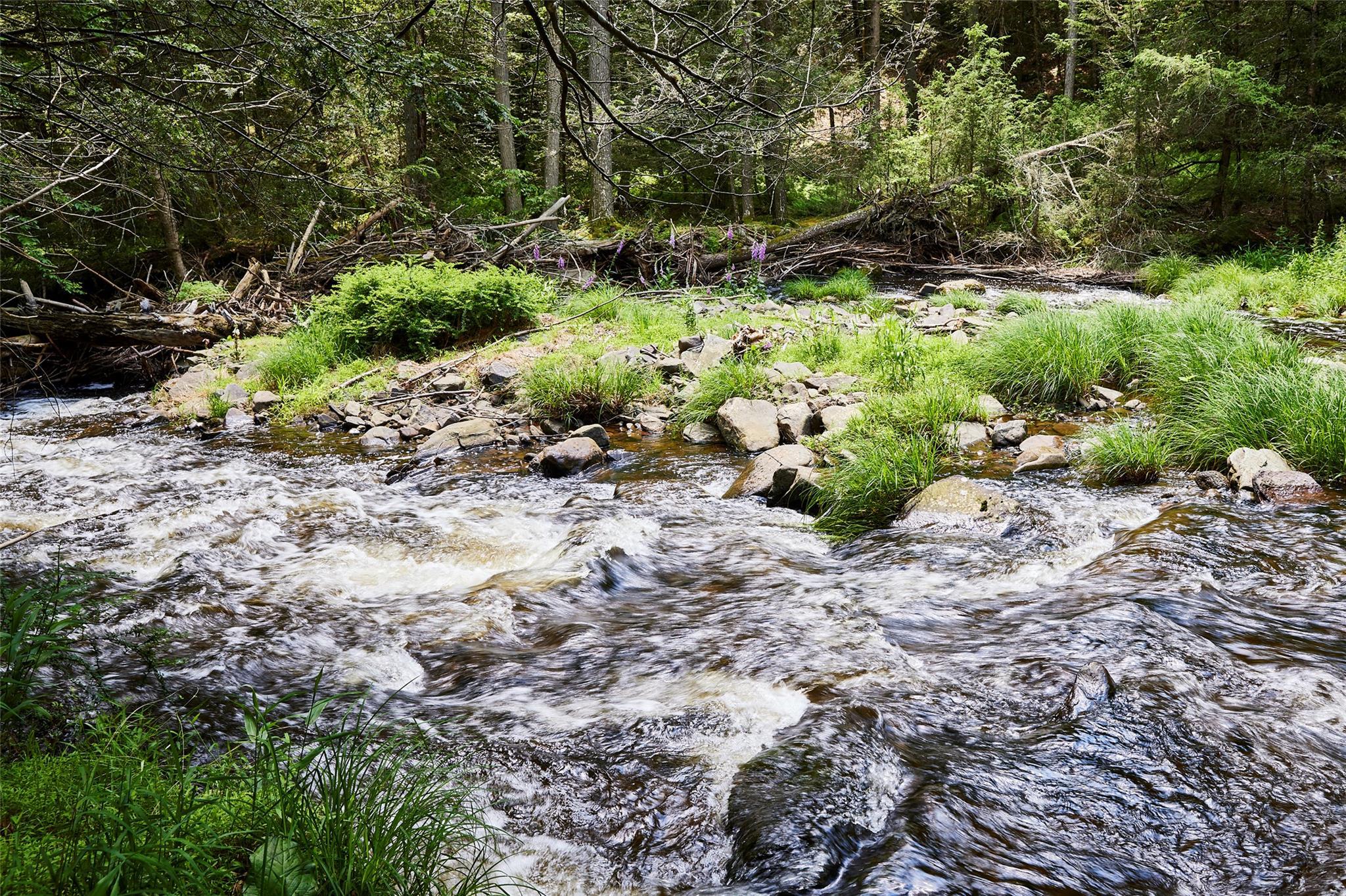 Single Family Upper Lumber  Sullivan County, NY 12737, MLS-880966-24