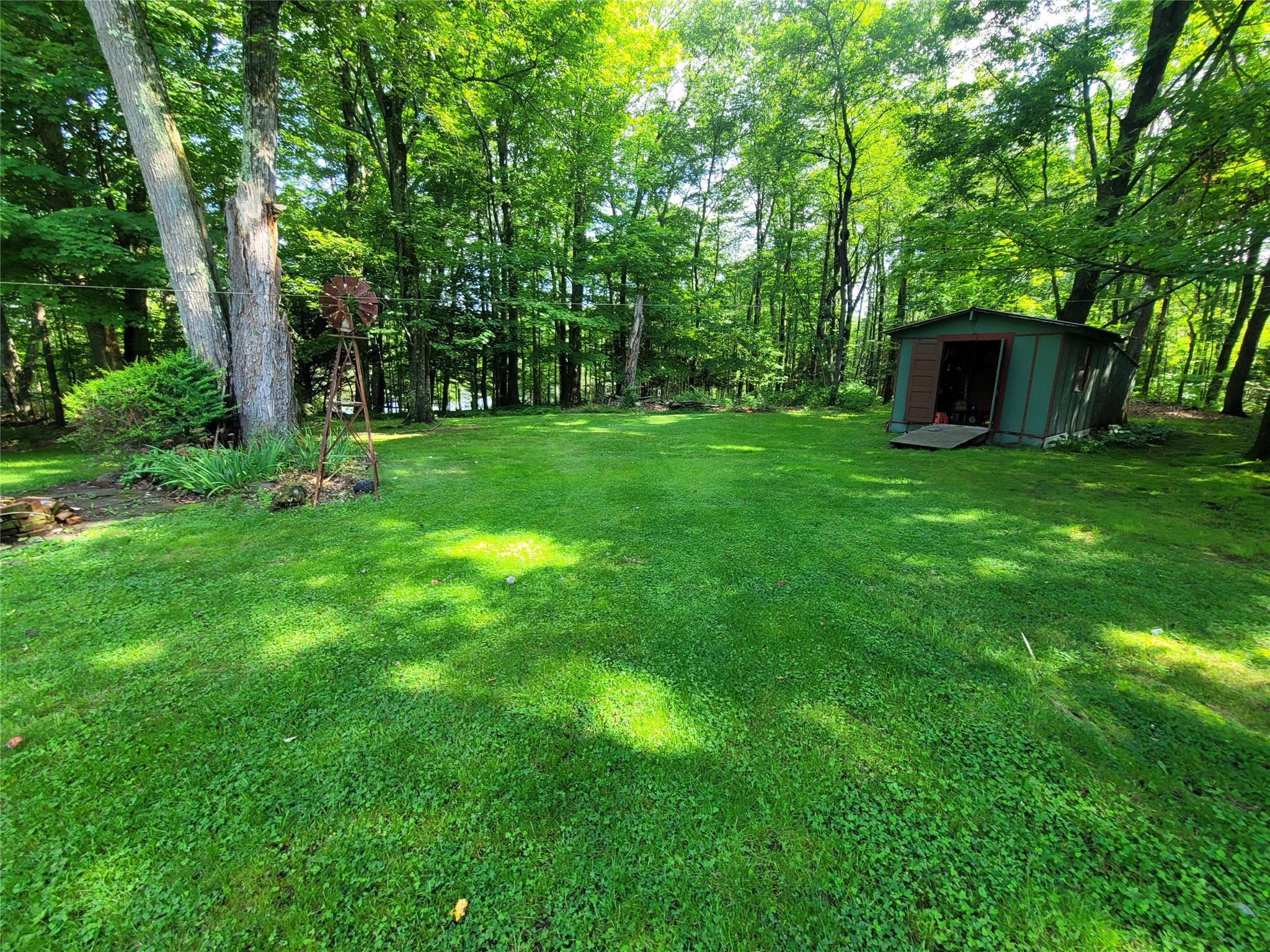 Single Family Briscoe  Sullivan County, NY 12783, MLS-880976-3