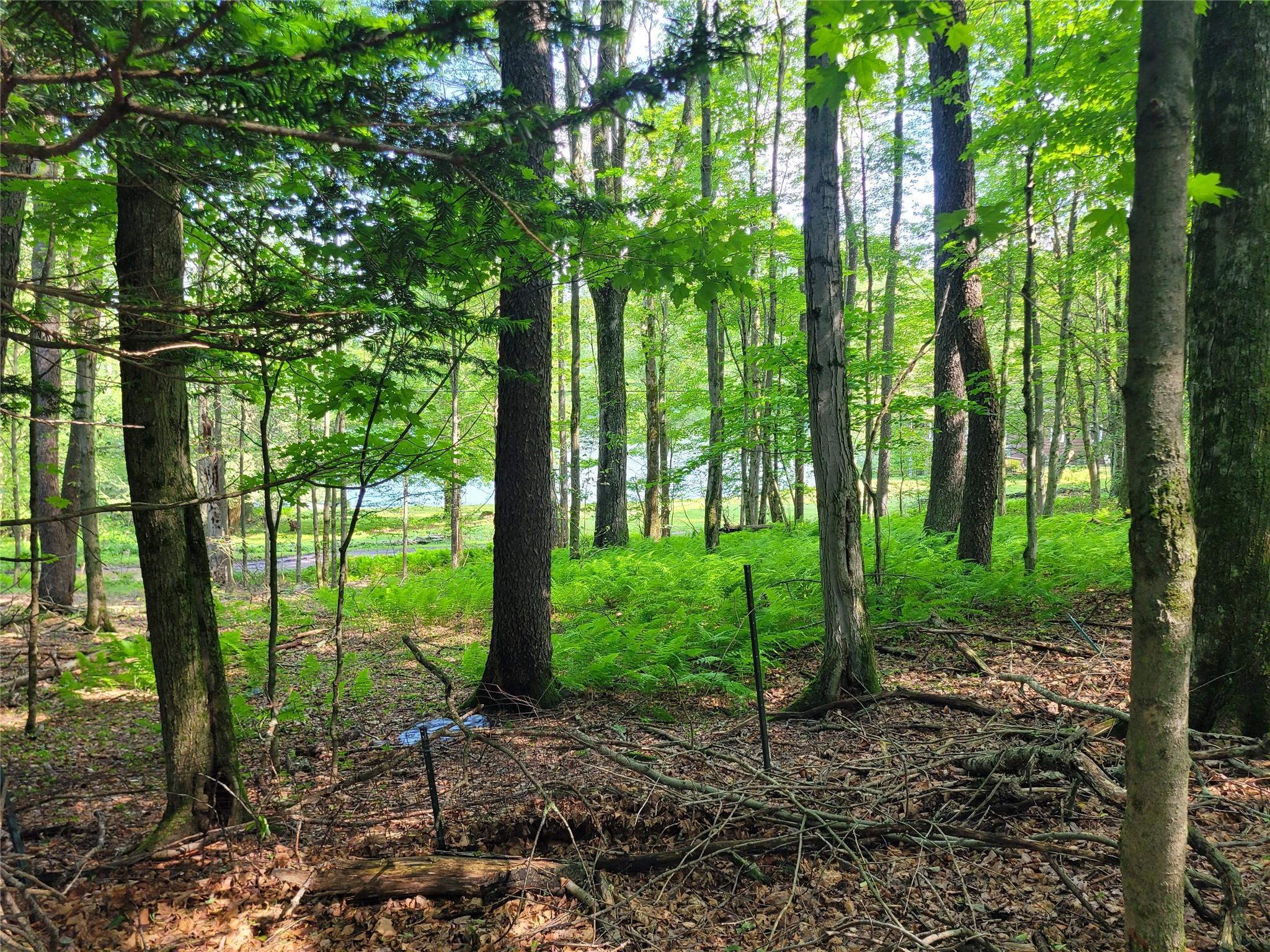 Single Family Briscoe  Sullivan County, NY 12783, MLS-880976-4