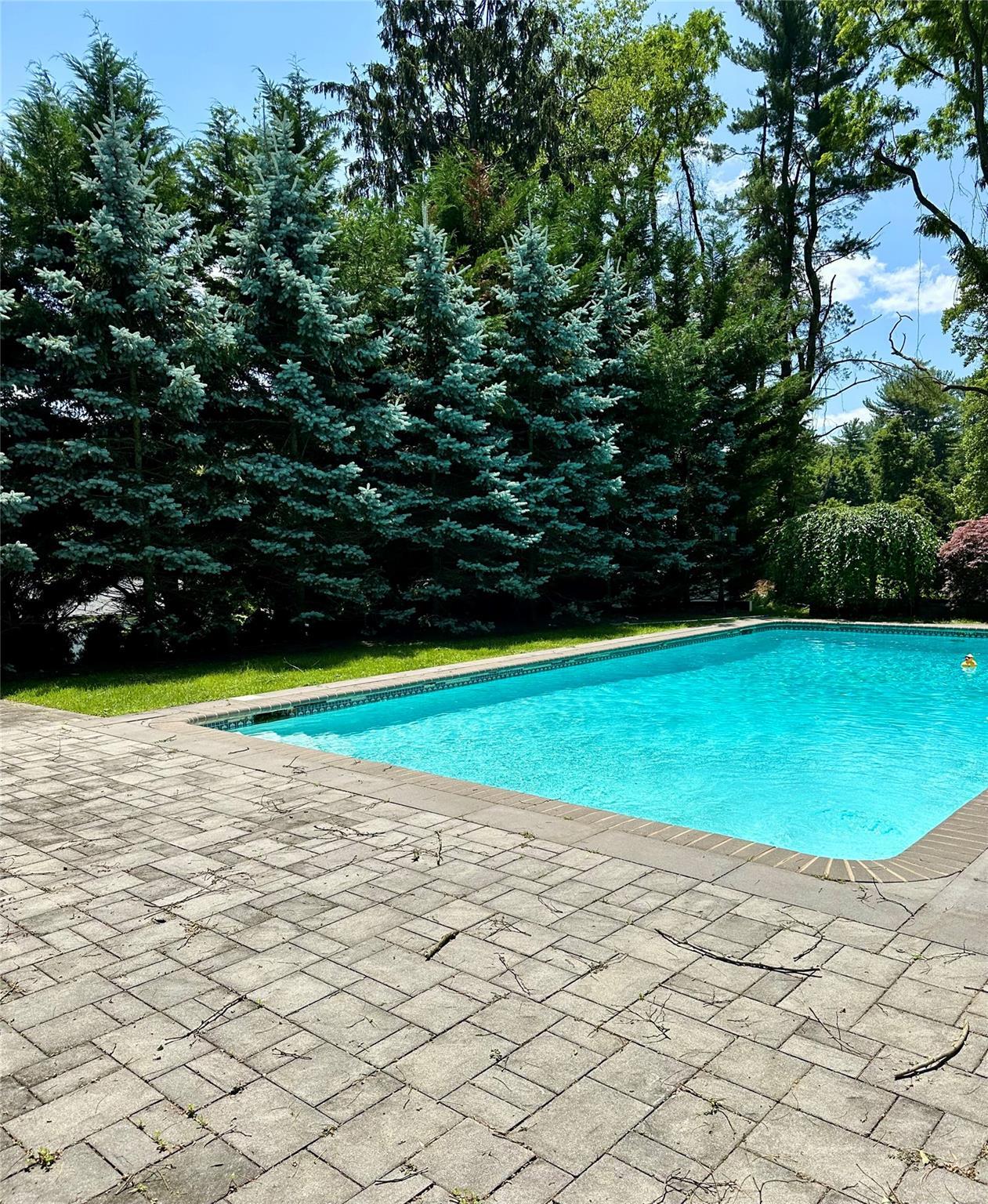Single Family Hillcrest  Nassau County, NY 11771, MLS-881075-41