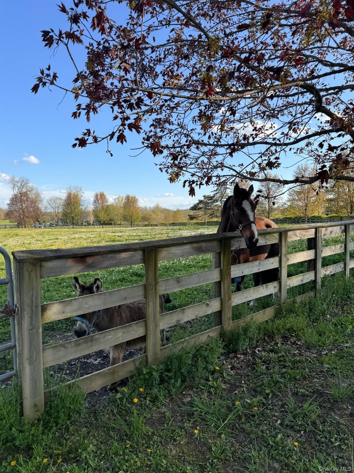 Single Family Salt Point Dutchess County, NY 12578, MLS-881232-29