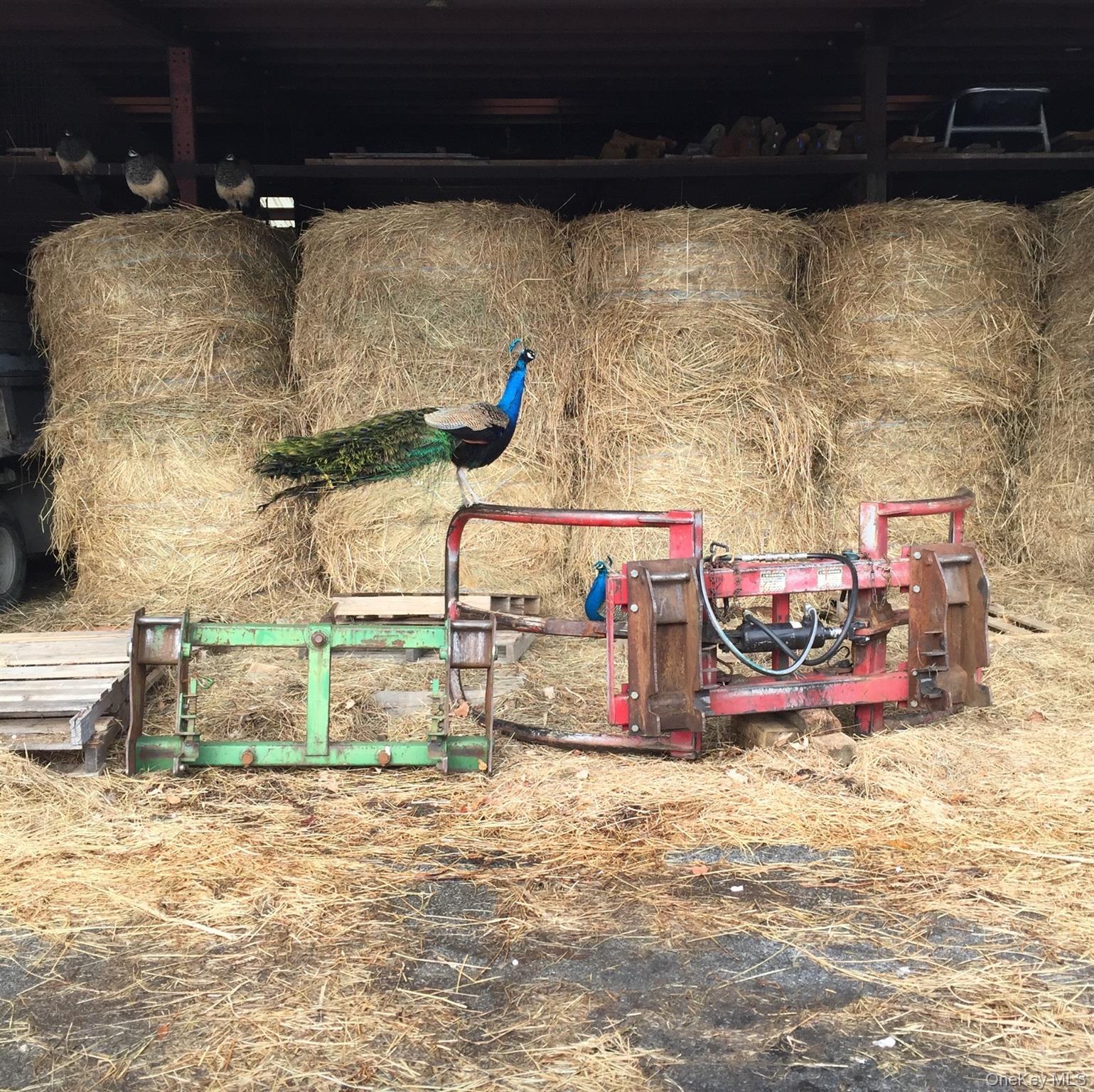 Single Family Salt Point Dutchess County, NY 12578, MLS-881232-32