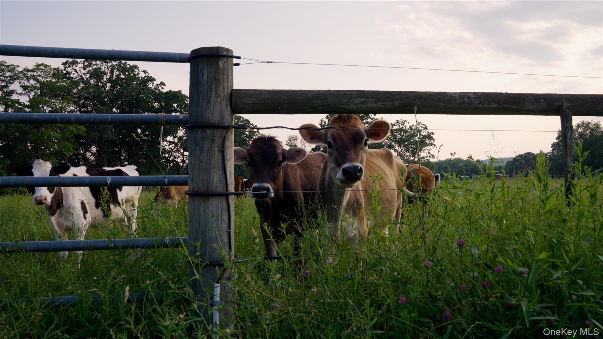 Single Family Salt Point Dutchess County, NY 12578, MLS-881232-6