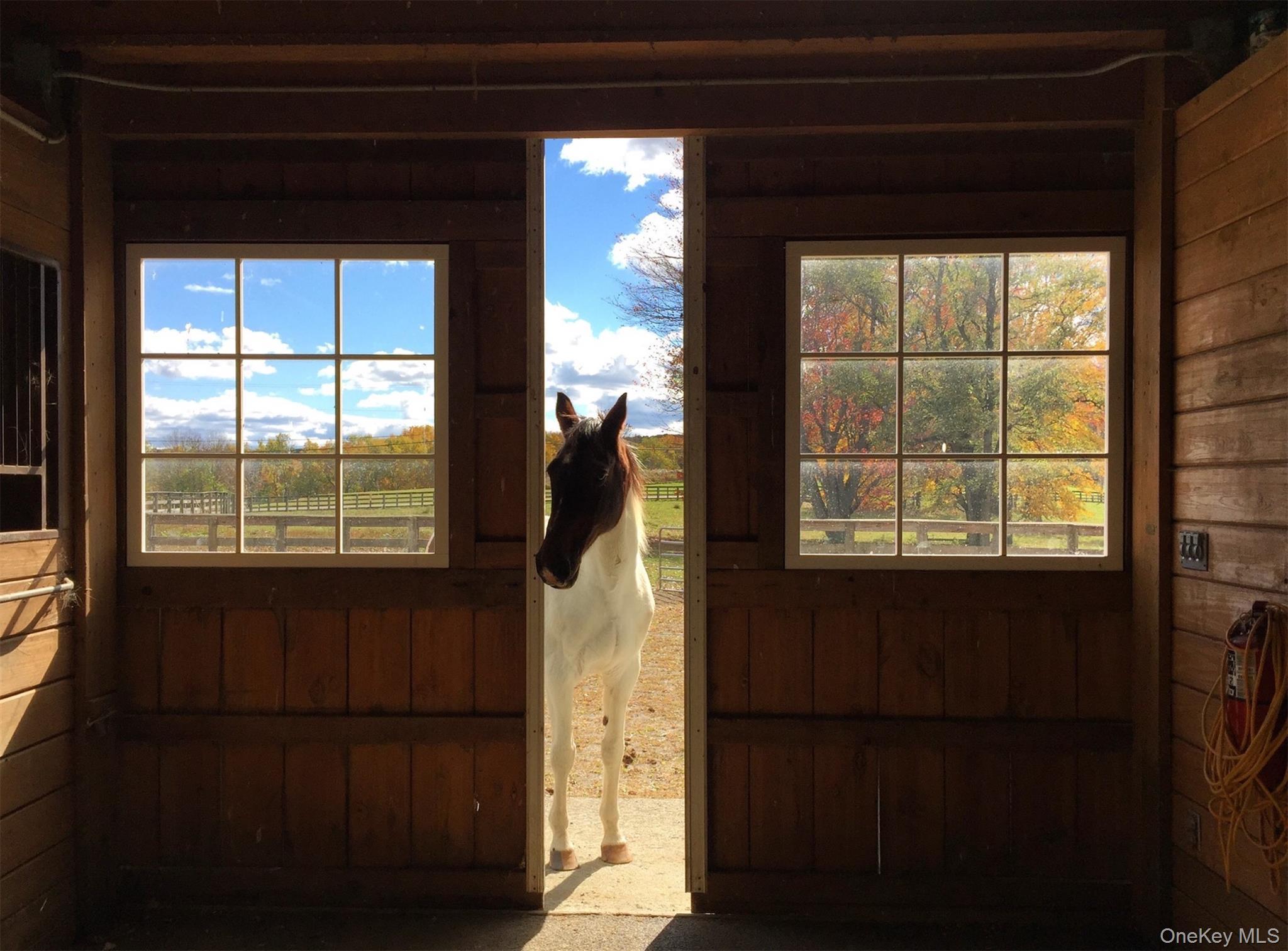 Single Family Salt Point Dutchess County, NY 12578, MLS-881232-8