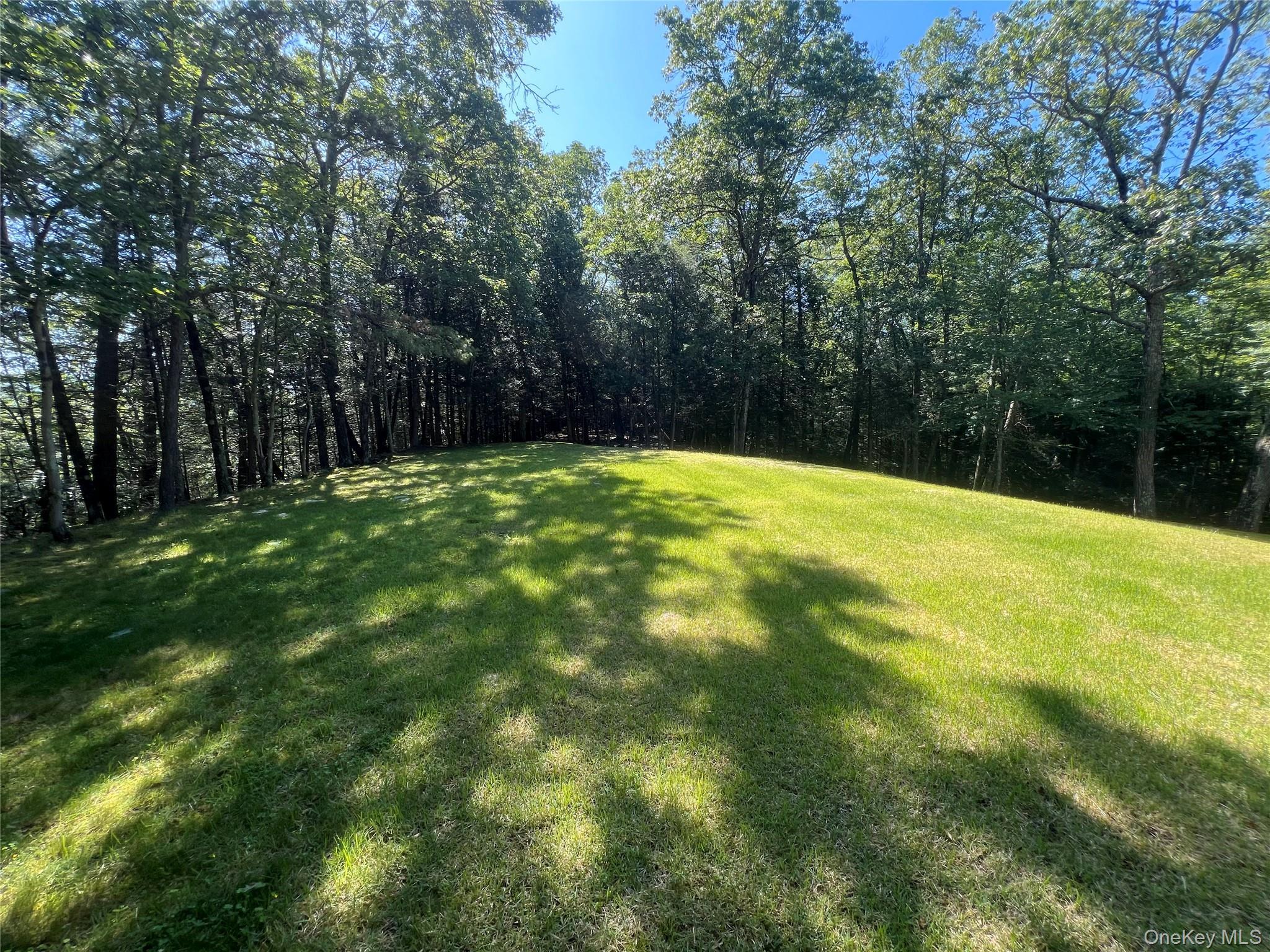 Single Family Hilltop  Sullivan County, NY 12764, MLS-881260-23