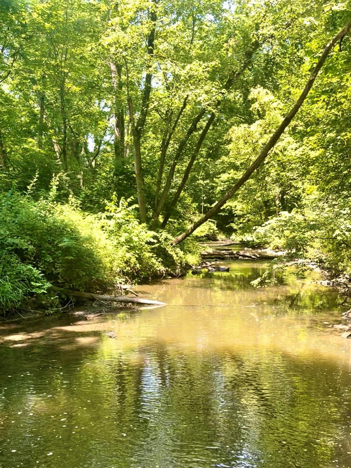 Single Family Russell  Dutchess County, NY 12590, MLS-881359-28