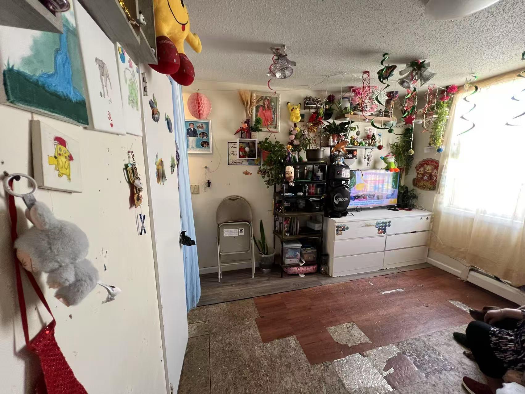 Single Family 103rd  Queens, NY 11368, MLS-881384-10