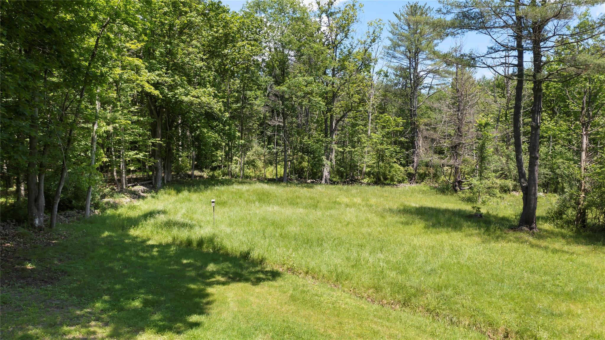 Single Family Enchanted Valley Road  Greene County, NY 12418, MLS-881470-19