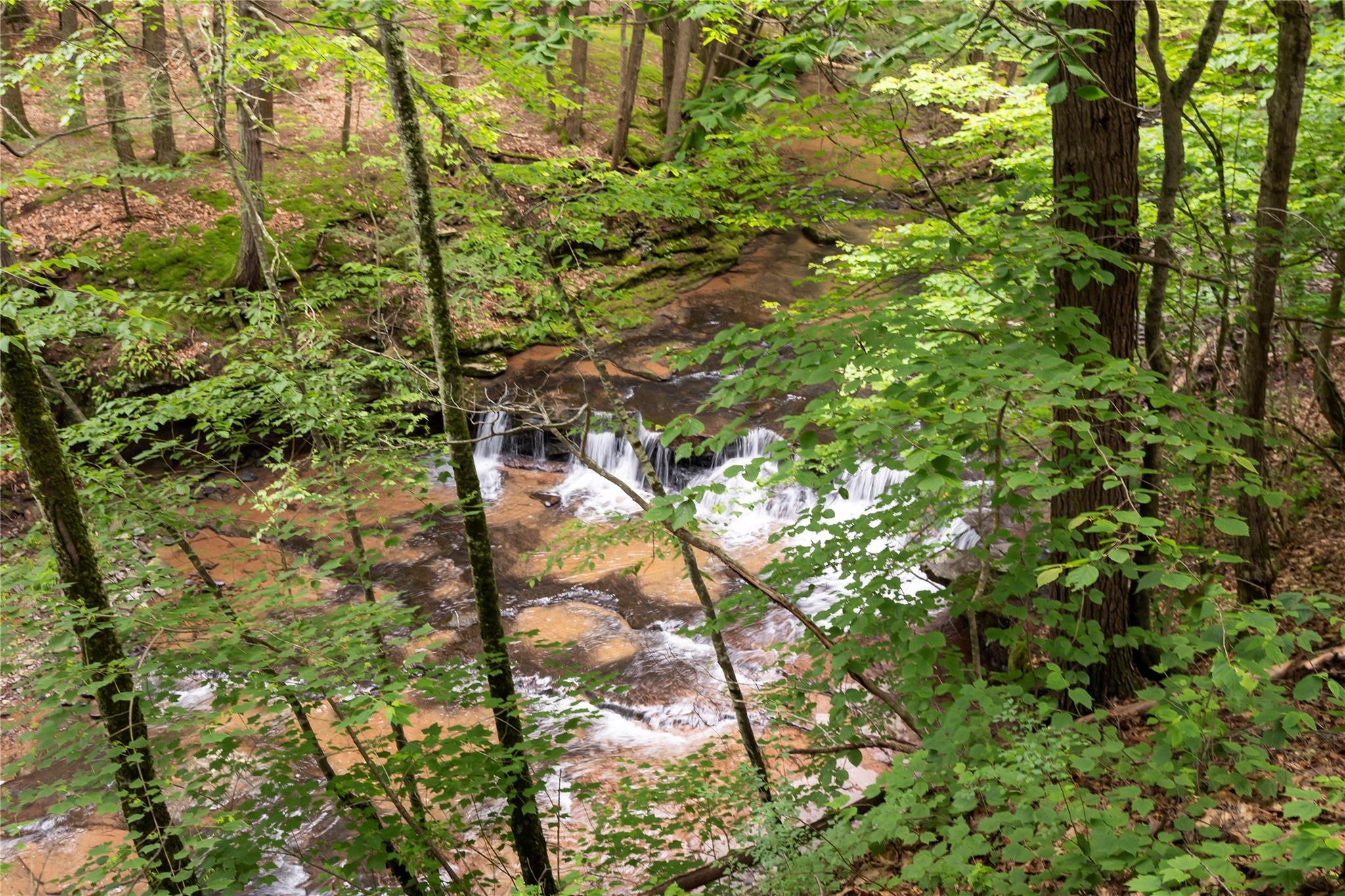 Single Family Enchanted Valley Road  Greene County, NY 12418, MLS-881470-23