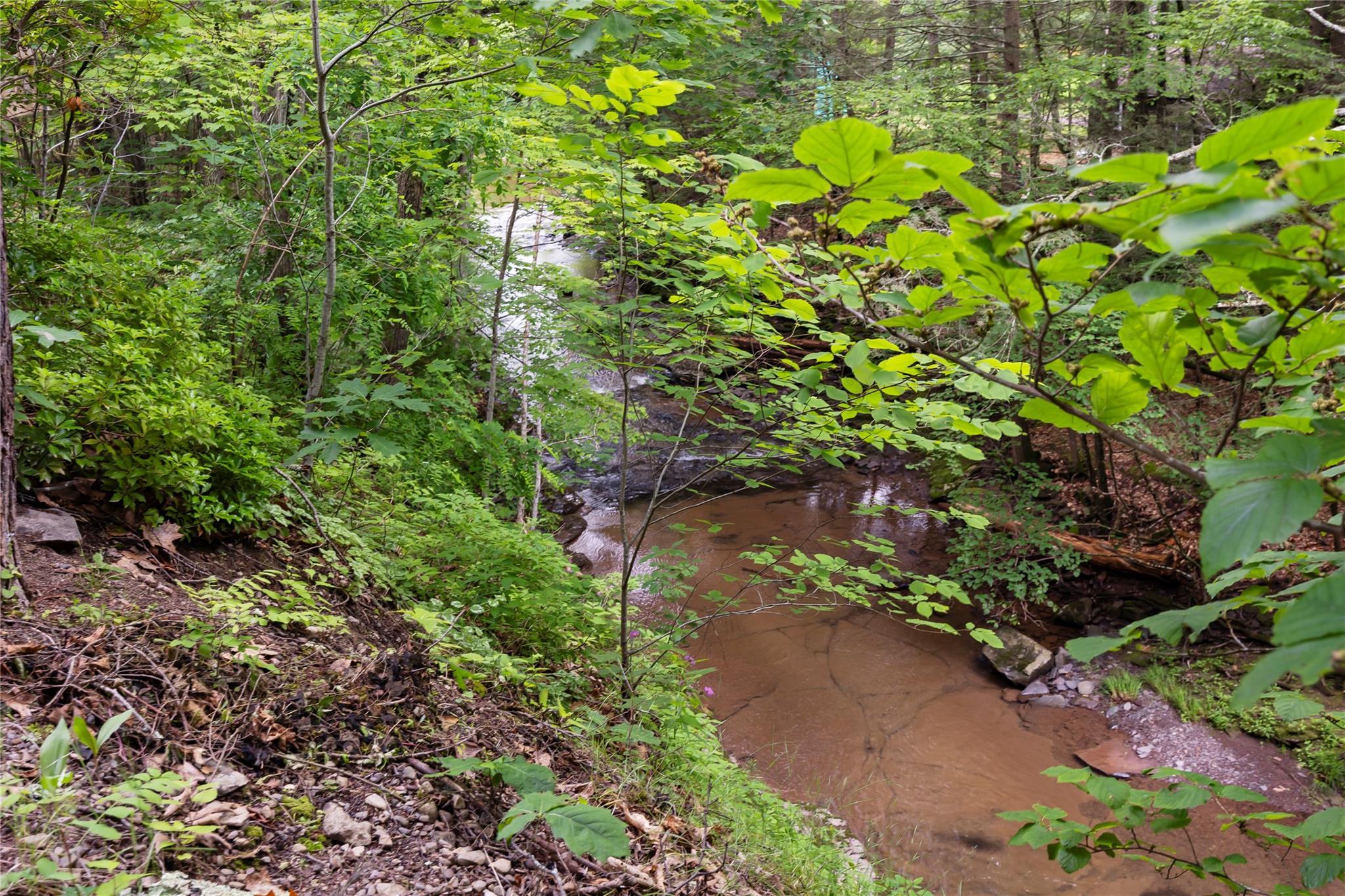 Single Family Enchanted Valley Road  Greene County, NY 12418, MLS-881470-24