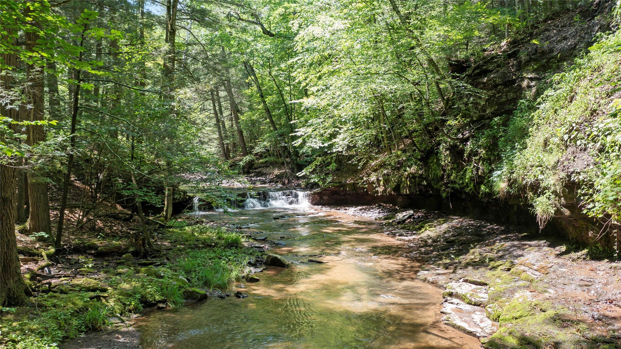 Single Family Enchanted Valley Road  Greene County, NY 12418, MLS-881470-25