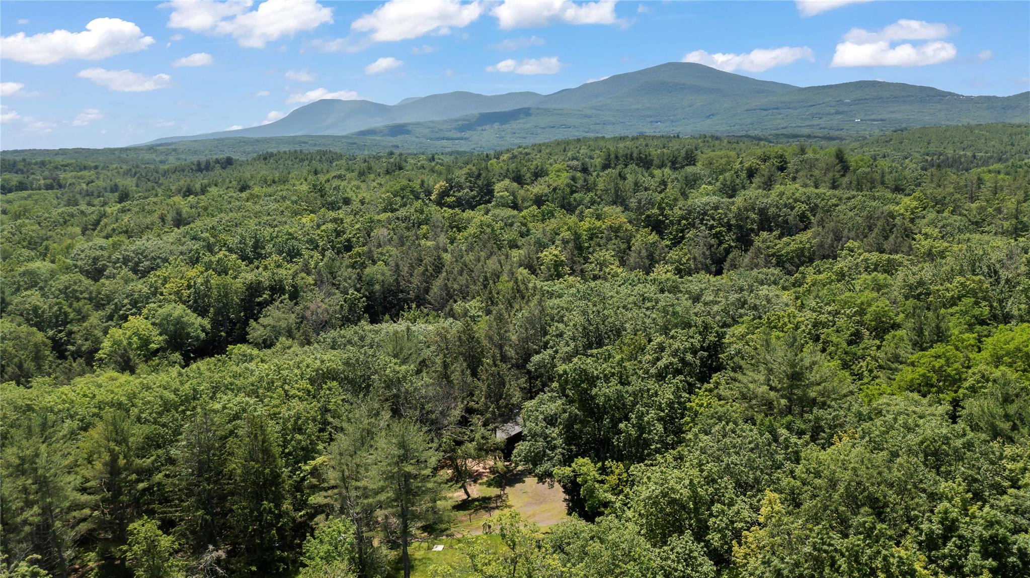 Single Family Enchanted Valley Road  Greene County, NY 12418, MLS-881470-26