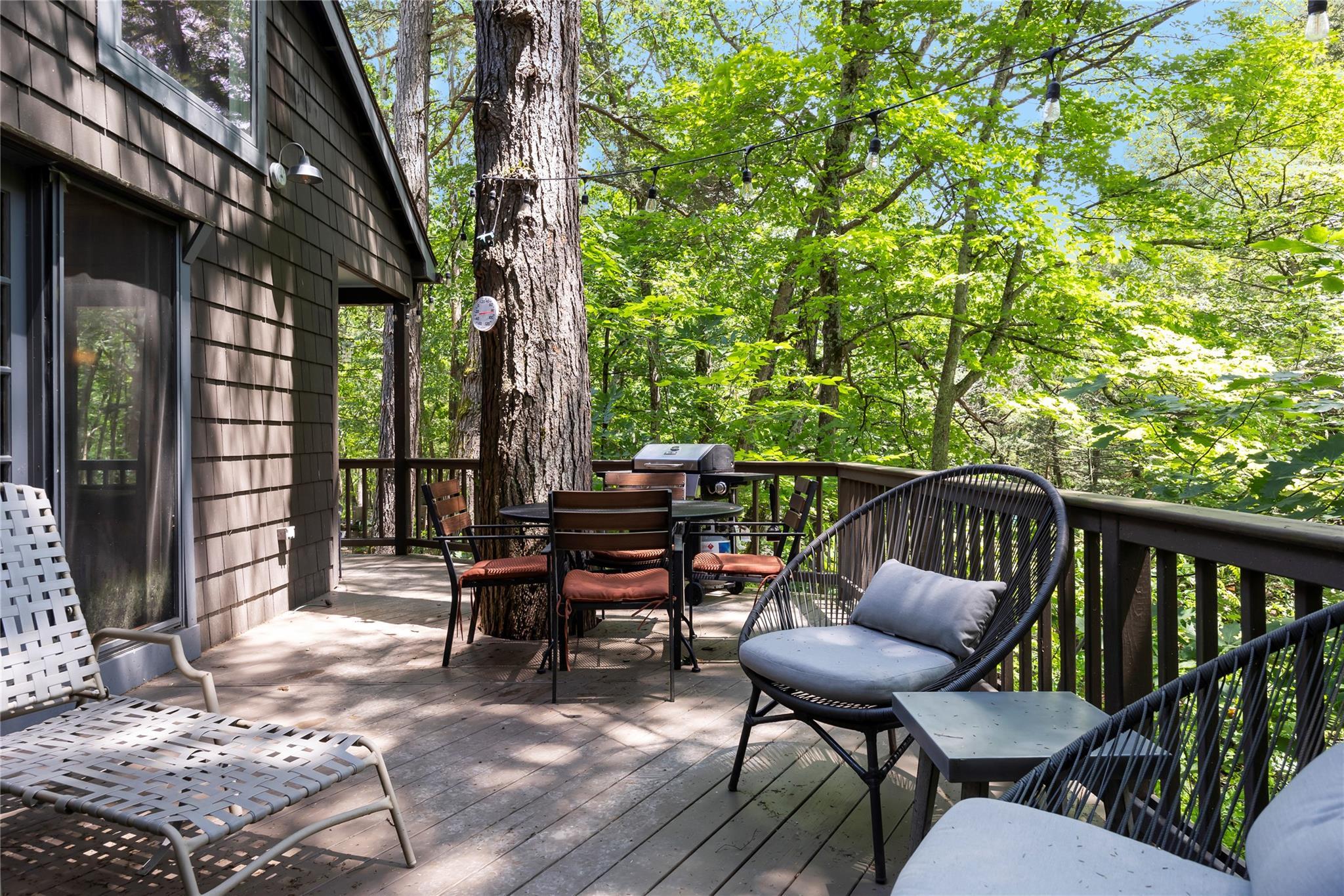 Single Family Enchanted Valley Road  Greene County, NY 12418, MLS-881470-4