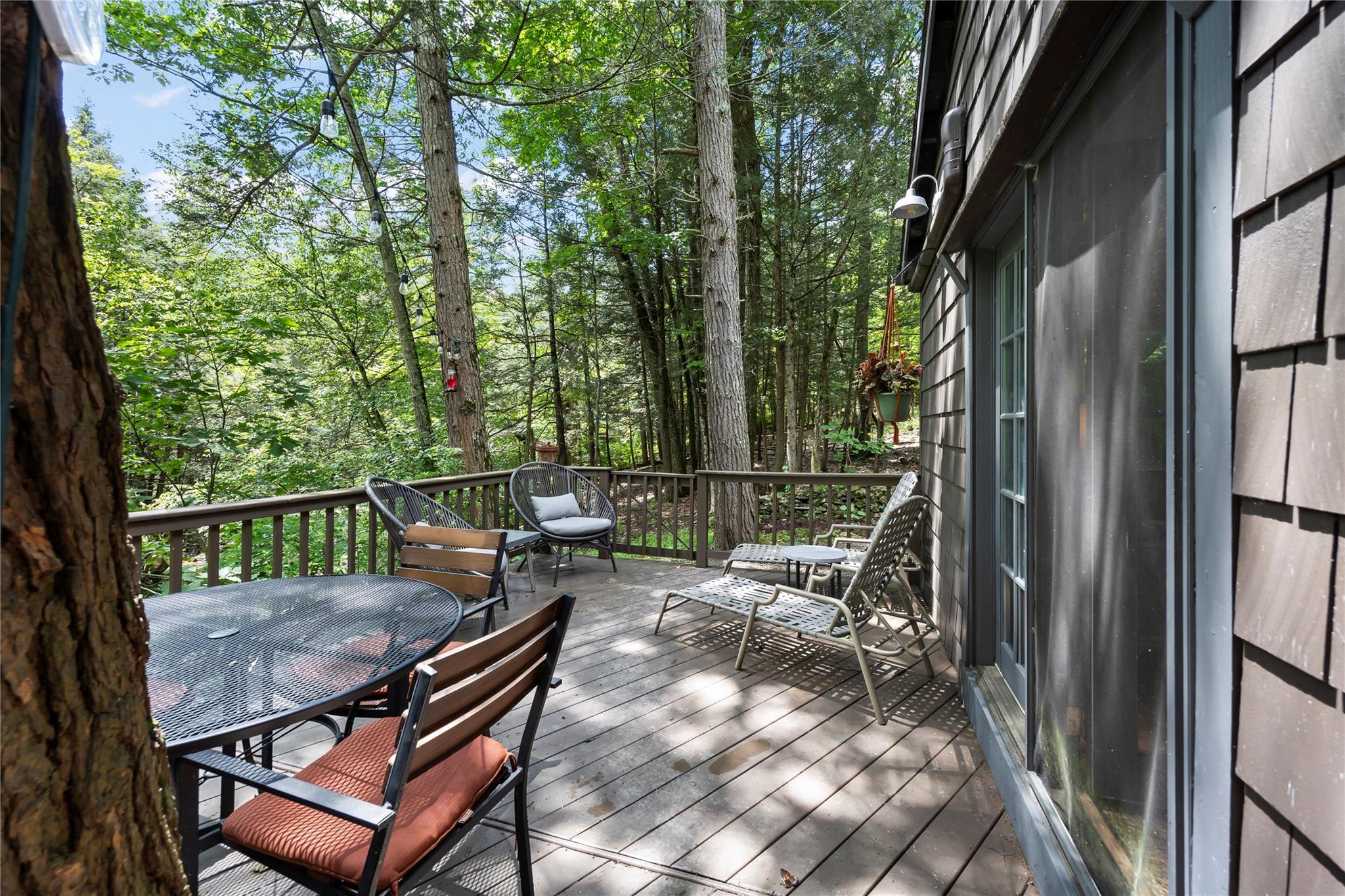 Single Family Enchanted Valley Road  Greene County, NY 12418, MLS-881470-5