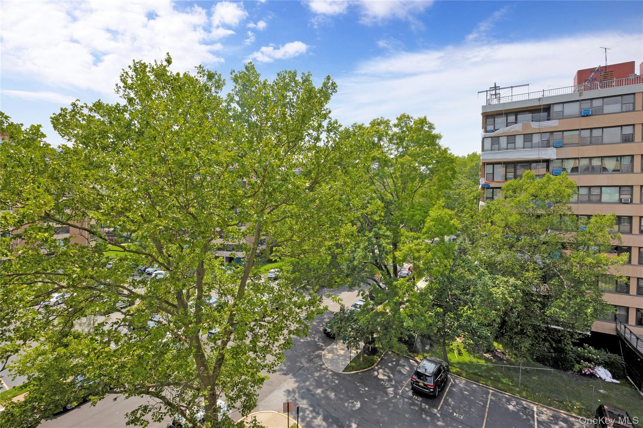 Coop 9th Queens, NY 11357, MLS-881623-12