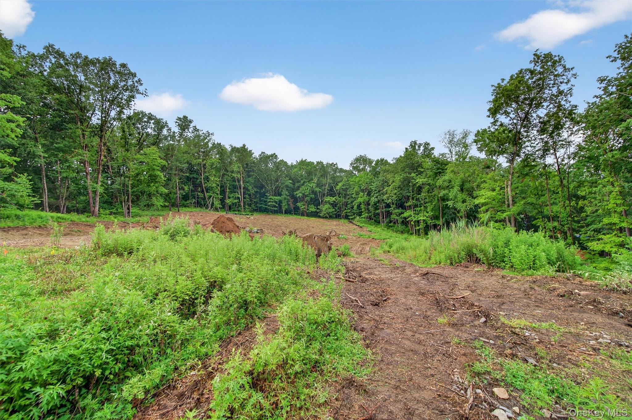 Single Family Tea House Putnam County, NY 10509, MLS-881641-6