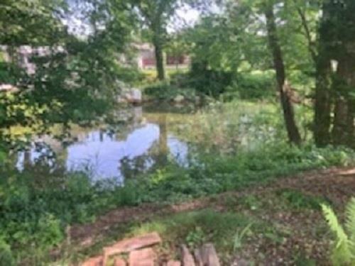 Single Family Old Country  Suffolk County, NY 11901, MLS-881749-30