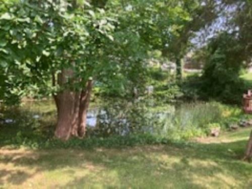 Single Family Old Country  Suffolk County, NY 11901, MLS-881749-31