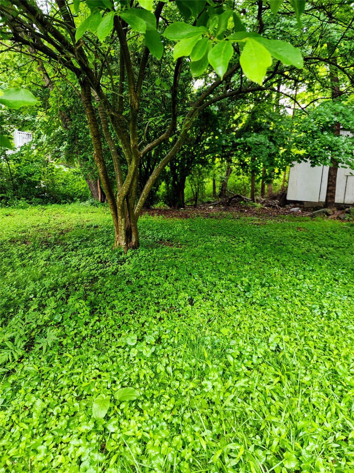 Single Family Drive  Putnam County, NY 12563, MLS-881811-8