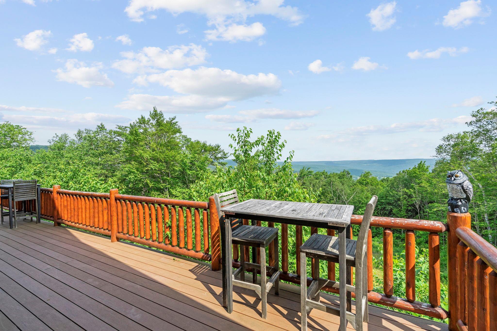 Single Family Durham  Out Of Area, NY 12076, MLS-881855-29