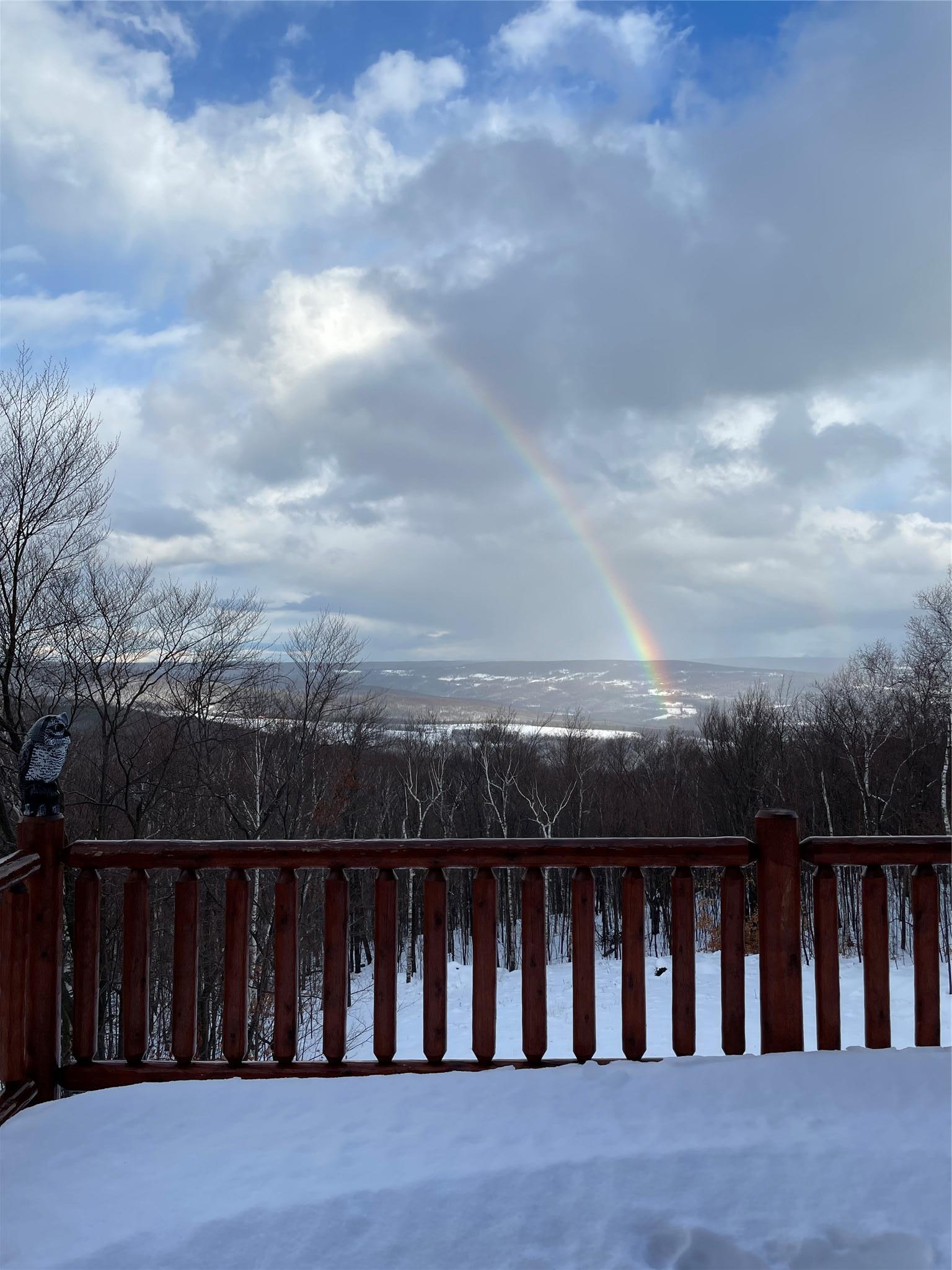 Single Family Durham  Out Of Area, NY 12076, MLS-881855-41