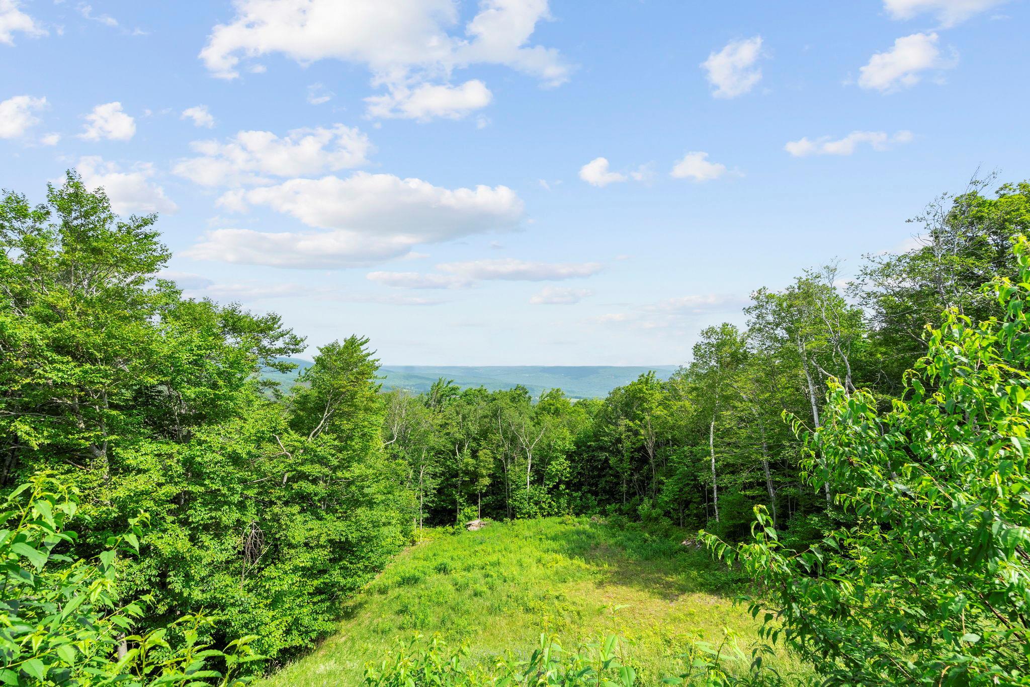 Single Family Durham  Out Of Area, NY 12076, MLS-881855-42
