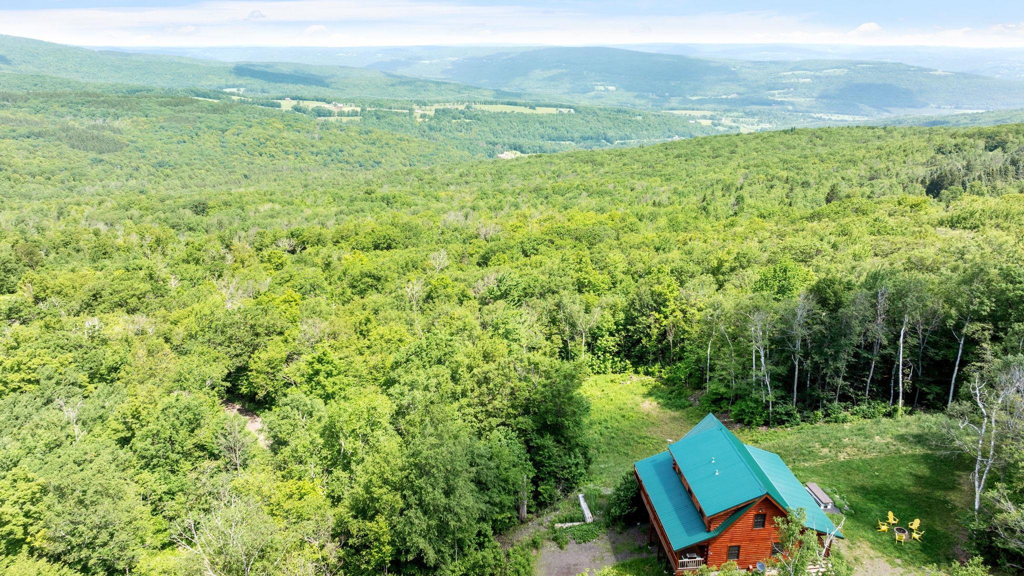 Single Family Durham  Out Of Area, NY 12076, MLS-881855-43