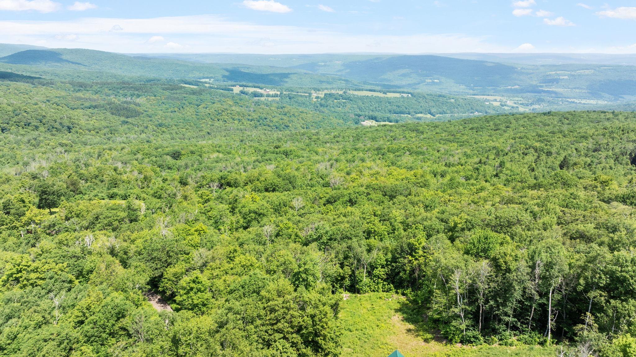 Single Family Durham  Out Of Area, NY 12076, MLS-881855-44