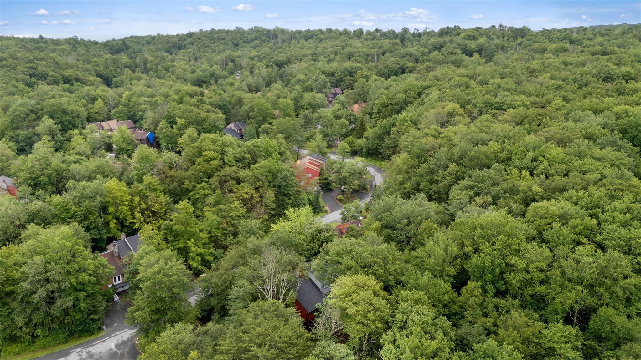 Single Family Meadowlark Lane  Sullivan County, NY 12789, MLS-881897-23