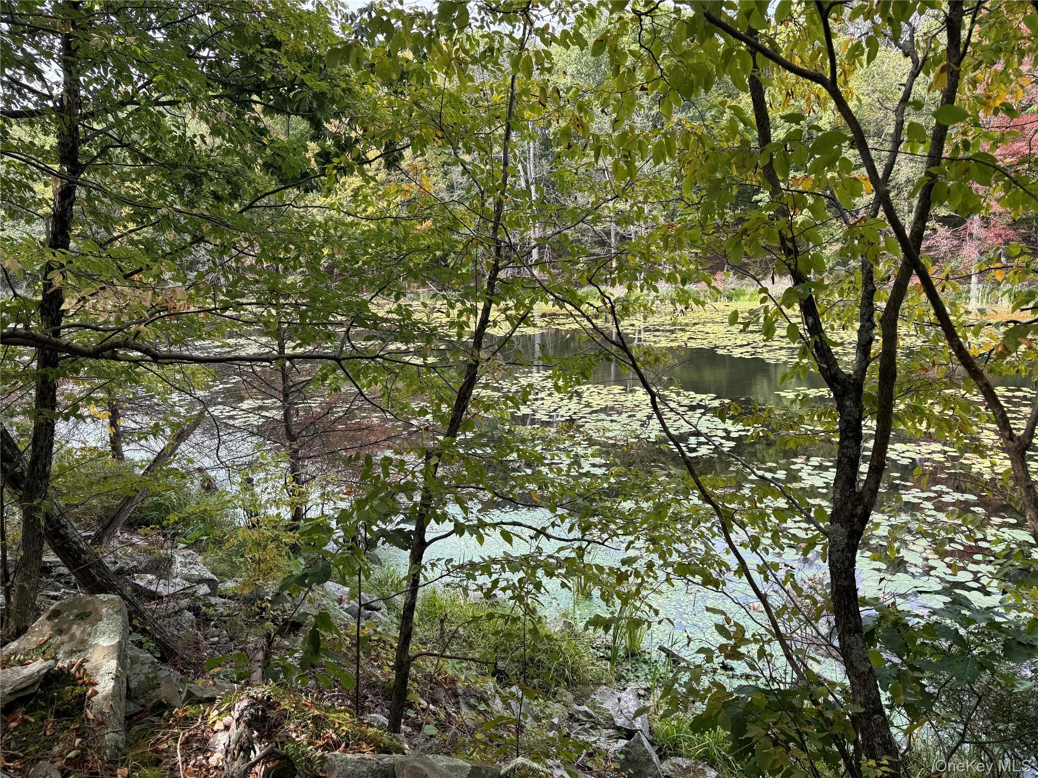 Single Family Floyd Ackert  Ulster County, NY 12561, MLS-881975-8