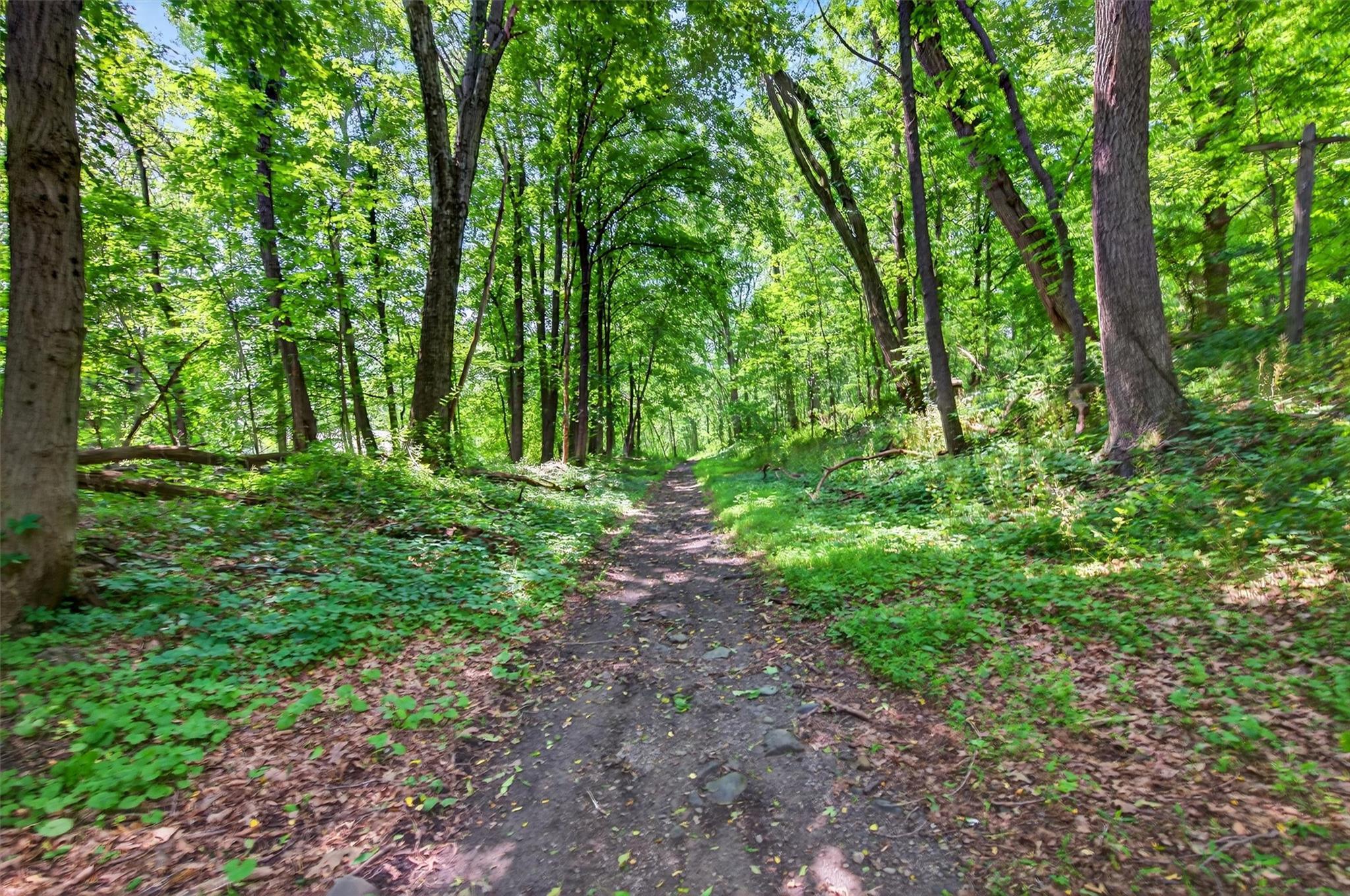Single Family Palomino  Orange County, NY 12553, MLS-882012-26