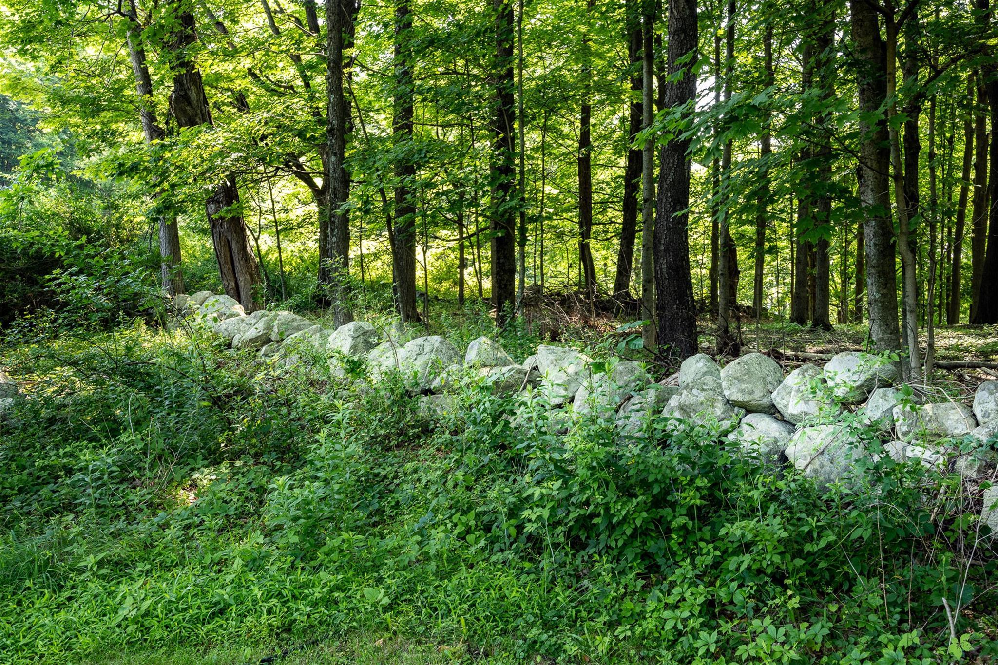 Single Family Mountain Rest Ulster County, NY 12561, MLS-882065-33