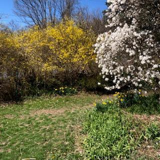 Single Family Mountain Rest Ulster County, NY 12561, MLS-882065-34