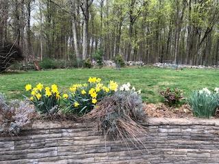 Single Family Mountain Rest Ulster County, NY 12561, MLS-882065-35