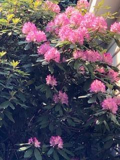 Single Family Mountain Rest Ulster County, NY 12561, MLS-882065-36