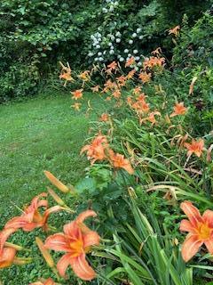 Single Family Mountain Rest Ulster County, NY 12561, MLS-882065-37