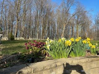 Single Family Mountain Rest Ulster County, NY 12561, MLS-882065-38