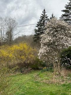 Single Family Mountain Rest Ulster County, NY 12561, MLS-882065-39