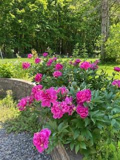 Single Family Mountain Rest Ulster County, NY 12561, MLS-882065-40