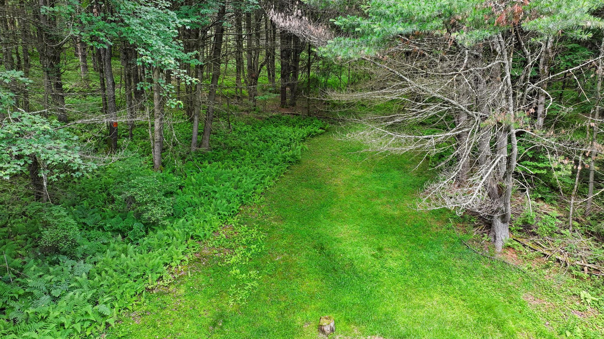 Single Family Creamery  Sullivan County, NY 12783, MLS-882091-29