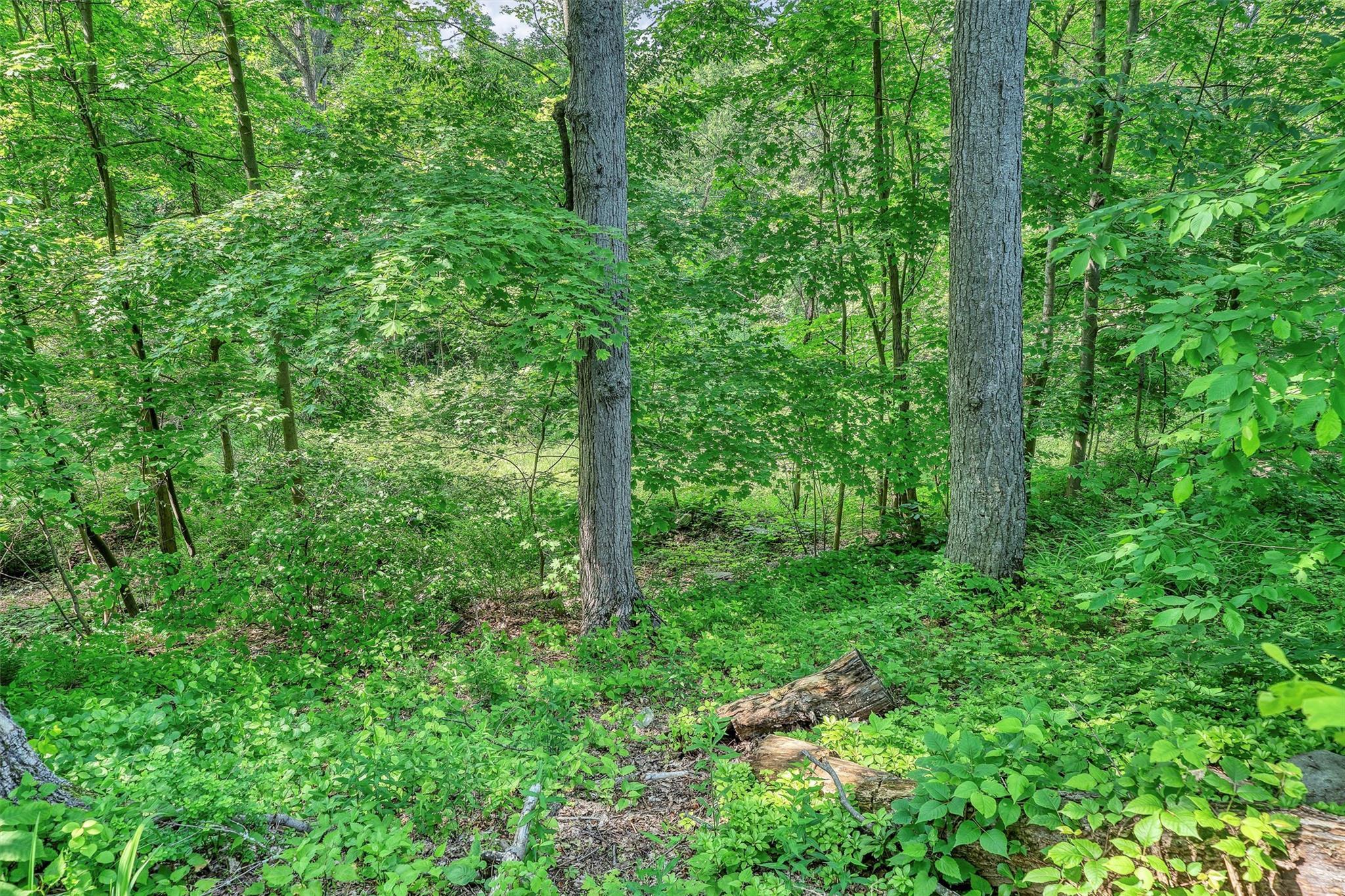 Single Family Silver  Orange County, NY 10950, MLS-882306-26
