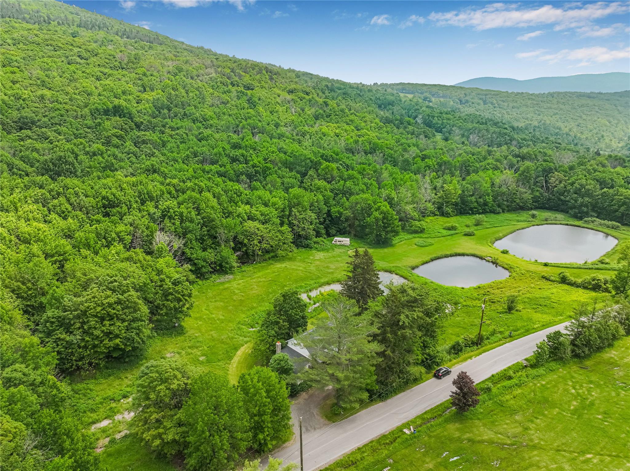 Single Family Don Irwin  Greene County, NY 12468, MLS-882384-10