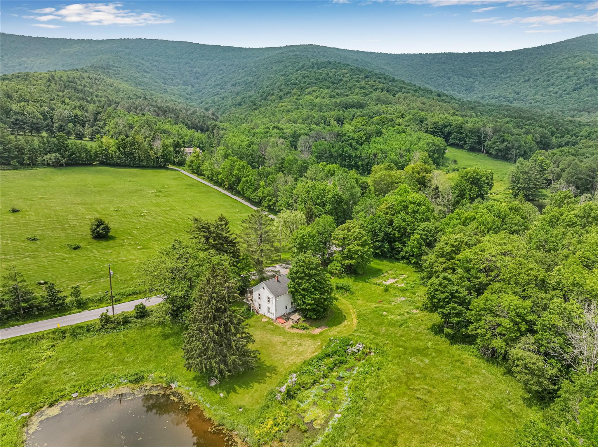 Single Family Don Irwin  Greene County, NY 12468, MLS-882384-8
