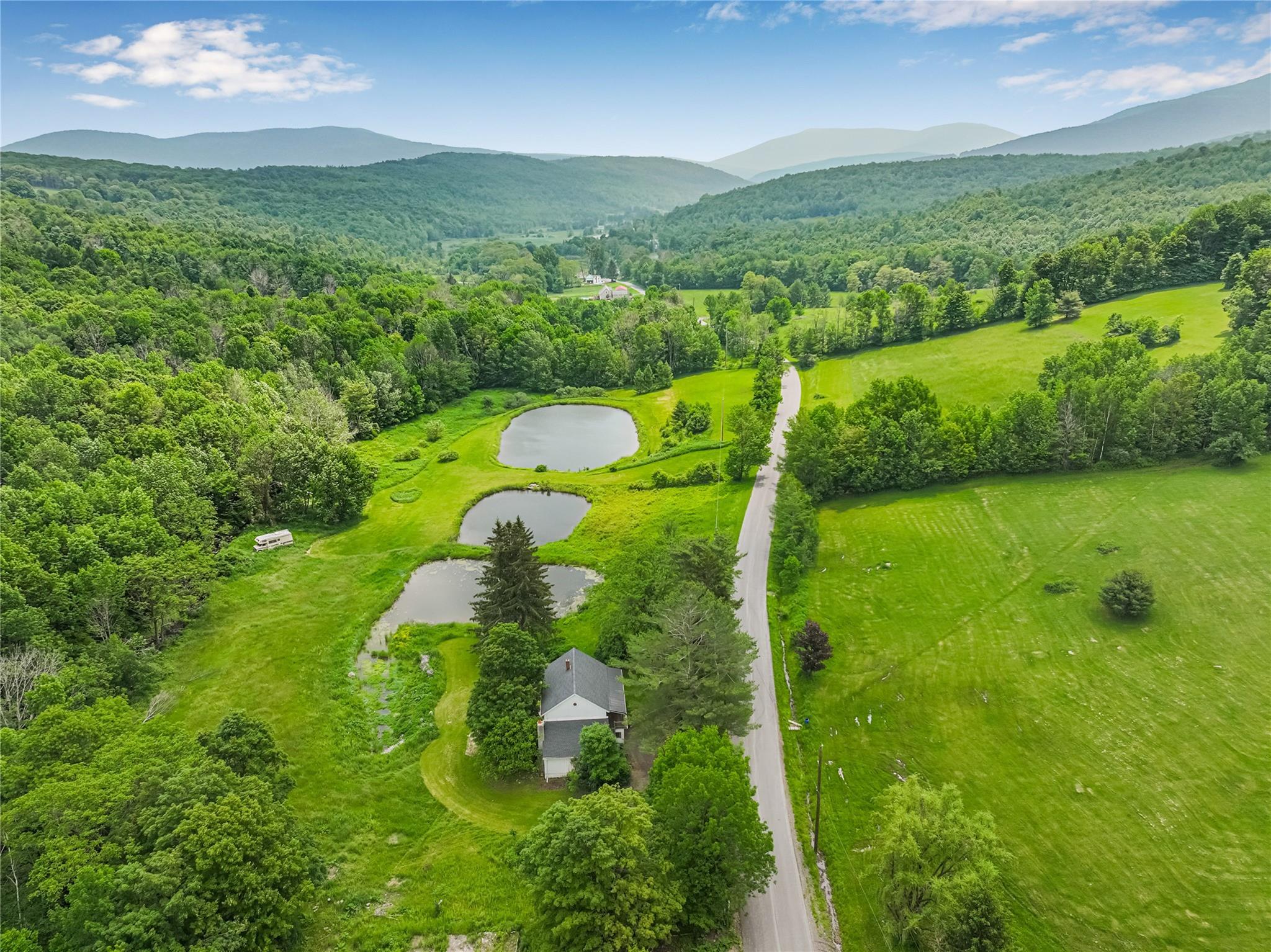 Single Family Don Irwin  Greene County, NY 12468, MLS-882384-9