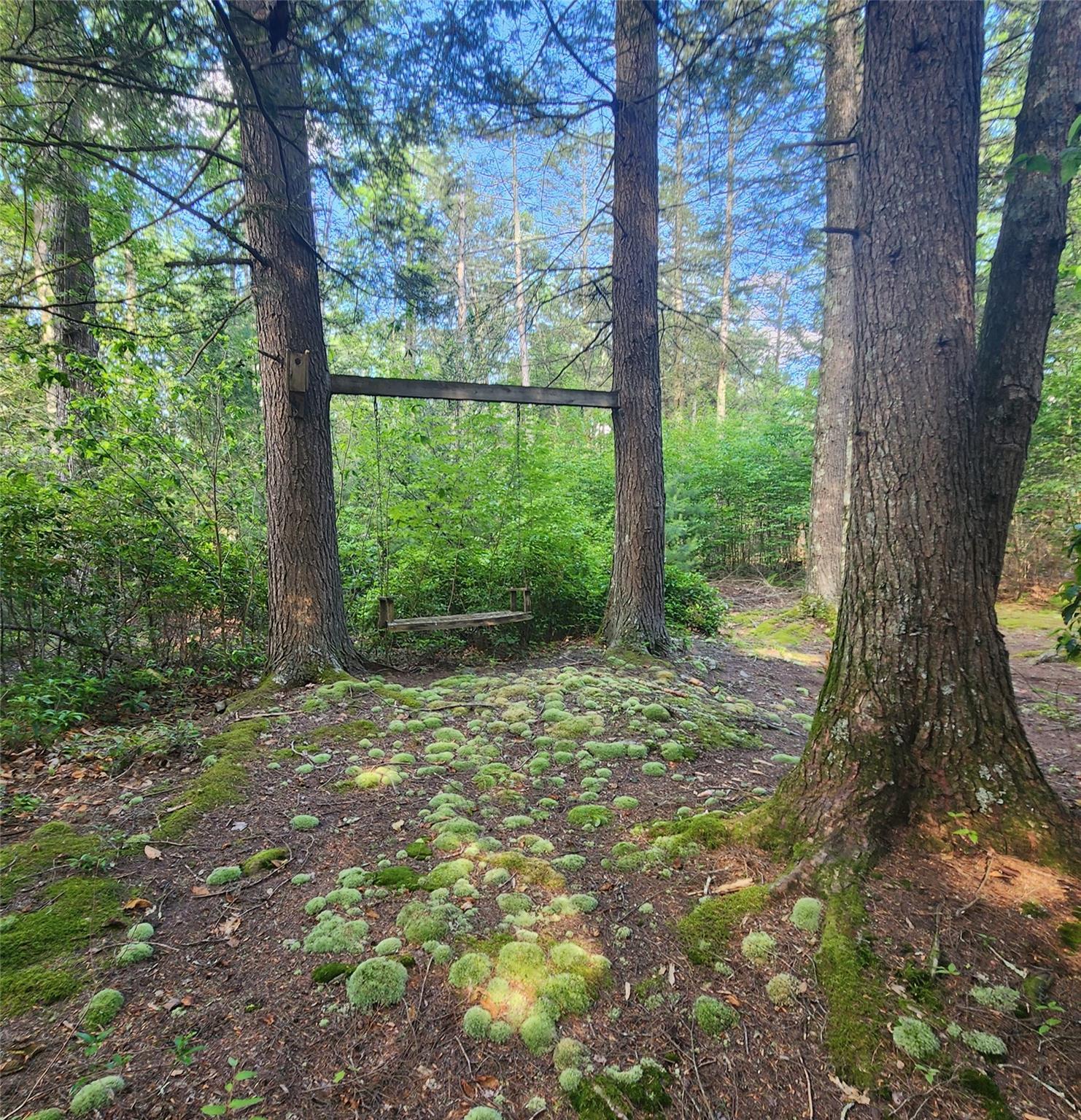Single Family State Rte 42  Sullivan County, NY 12740, MLS-882407-26