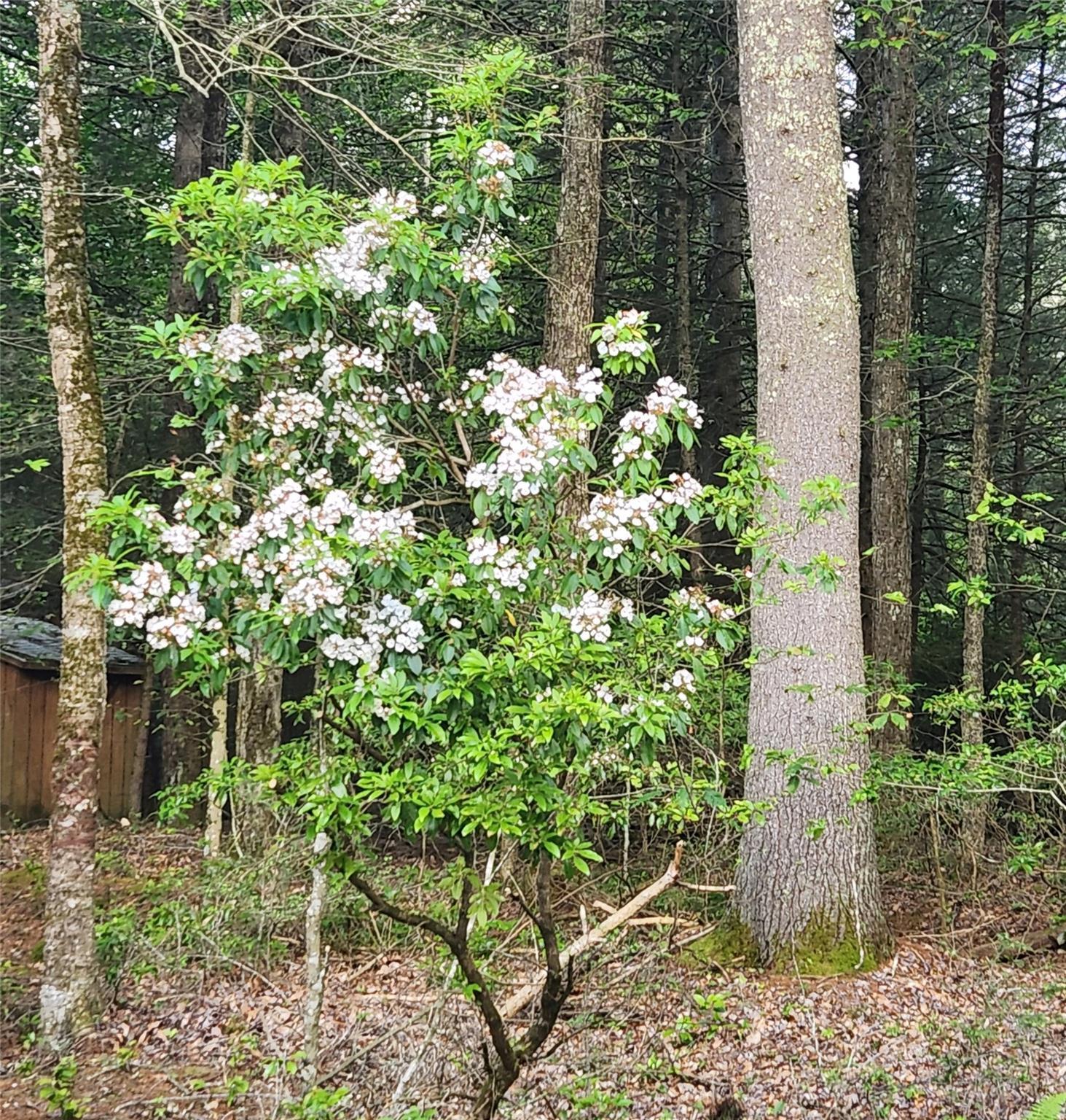 Single Family State Rte 42  Sullivan County, NY 12740, MLS-882407-3