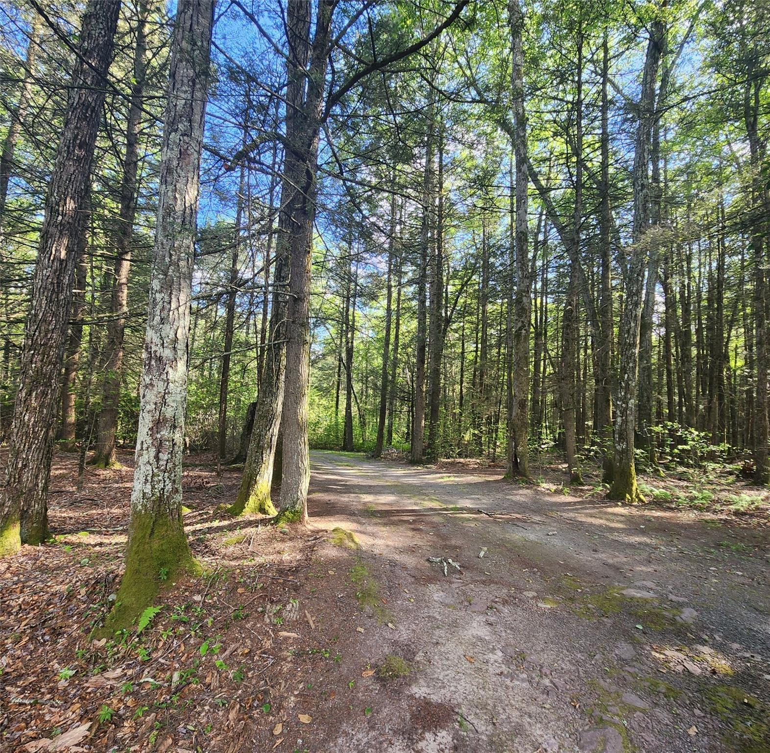 Single Family State Rte 42  Sullivan County, NY 12740, MLS-882407-4